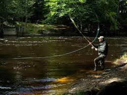 Begin by casting the spinner slightly upriver and reel in any slack line. River Fishing Global Flyfisher
