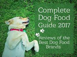 best dog foods our complete guide for