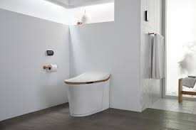 smart toilets and bidet cleansing seats