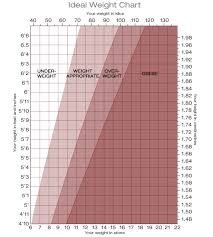 Weight Chart For Women By Age And Height