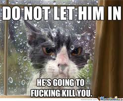 Angry Cat Memes. Best Collection of Funny Angry Cat Pictures via Relatably.com