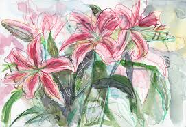 lily flower drawing and watercolour