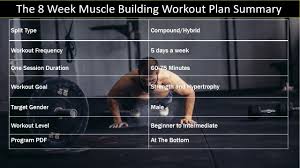 the 8 week muscle building workout plan