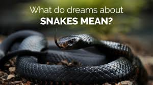 snake dreams in hindu culture