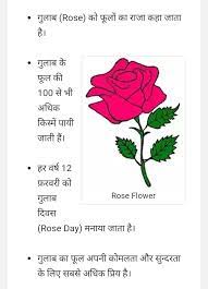 write 5points about rose in hindi