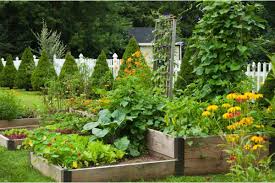 16 vegetable garden ideas for your backyard