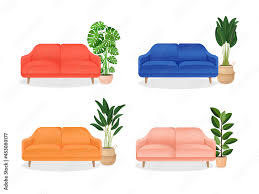 Set Of Colored Sofa With House Plant Of