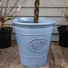 Black Friday Deal Blue Olive Planter