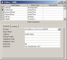 ms access 2003 define a custom format