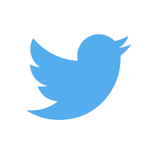 Twitter Logo png HD Transparent Background Image - LifePng