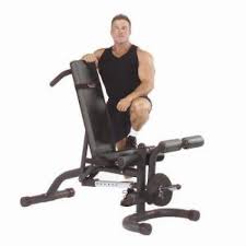 body solid powerline roman chair back