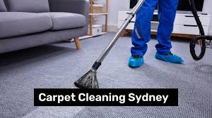 professional carpet cleaning in sydney