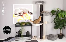 cat scratching trees with wall bracket