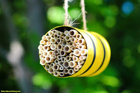 Mason bees are a common bee you will see flying around your home in spring and summer. How To Make A Mason Bee Habitat Perfect Life Cycle Of A Bee Activities Natural Beach Living