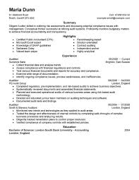auditor resume examples accounting