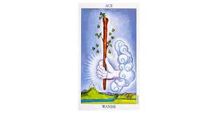Maybe you would like to learn more about one of these? Ace Of Wands Tarot Card Meaning Love Reversed