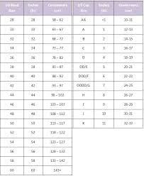 bra size chart in inches flash s