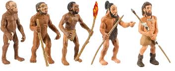 Amazon.com: Safari Ltd Safariology Evolution of Man Historical Toy  Figurines Including Australopithecus Afarensis, Homo Habilis, Homo Erectus,  Neanderthal, and Cro-Magnon : Toys & Games
