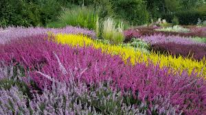 Święto kwiatów, owoców i warzyw – Skierniewice 2011 – Akademia Magdalena Markiewicz