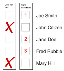 Image result for images for a voting ballot