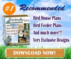 Building Bird Houses