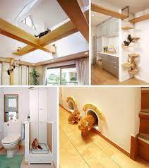 ultimate cat friendly interior design