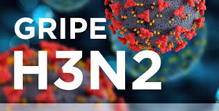 H3N2: Infectologista da Santa Casa esclarece dúvidas do vírus e cuidados