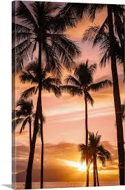 Palm Trees At Sunset Maui Hawaii