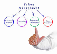 what is talent management and eight