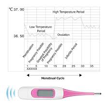Digital Basal Thermometer Highly Accurate 1 100th Degree