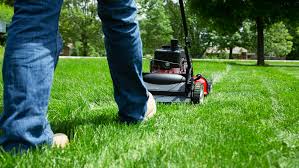 Who uses self propelled mowers why and what kind? Self Propelled Lawn Mowers How Do They Work
