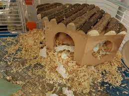 Bedding And Hideout For Your Hamster