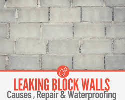 Leaking Concrete Cinder Block Walls