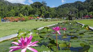 botanical gardens in msia visit