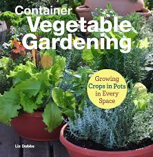 Container Vegetable Gardening Growing