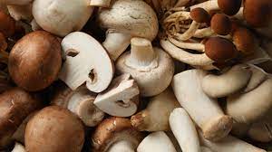 how to grow mushrooms both inside or