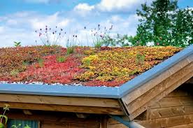 Advantages Of Rooftop Gardening