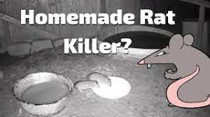homemade rat you