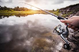 best walleye fishing rods of 2019