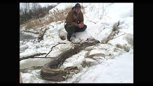 snake in frozen ohio river