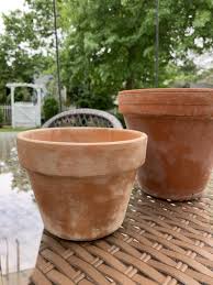 aging terracotta pots for a vine