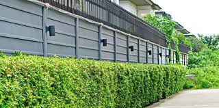 Boundary Wall Designs And Ideas For