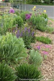 Perennial Flower Garden Design