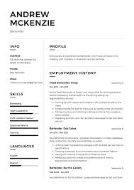 Bartender is a very creative profession, so an excellent candidate must have a unique document. Bartender Resume Guide 12 Example Downloads Pdf Word 2020