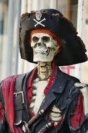 black skeleton with pirate costume