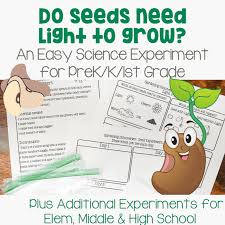 seed science experiment