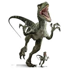 Find & download free graphic resources for raptor dinosaur. Official Jurassic World Charlie Raptor Dinosaur Lifesize Cardboard Cutout 129cm Partyrama