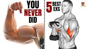 5 biceps workout at gym that you never