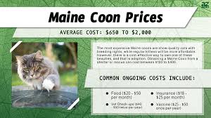 maine s in 2024 purchase