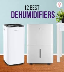 12 Best Dehumidifiers For Stuffy Basements